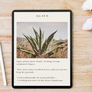 May include: A handmade wooden sign with the text "Welcome" in a handwritten style. The sign is painted white with a distressed finish and features a small, decorative heart. It is designed for indoor or outdoor use.