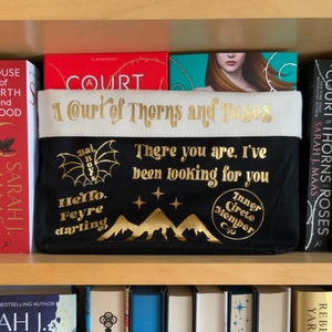 ACOTAR Book Basket, Sarah J Maas Licensed Merch, Rhysand, Feyre, Book Merch, There you are, Hello Feyre Darling, Bookish gift, Bat Boys image 1