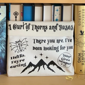 ACOTAR Book Basket, Sarah J Maas Licensed Merch, Rhysand, Feyre, Book Merch, There you are, Hello Feyre Darling, Bookish gift, Bat Boys image 2