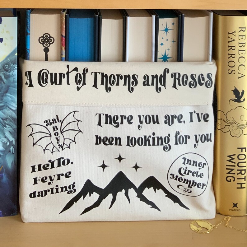 ACOTAR Book Basket, Sarah J Maas Licensed Merch, Rhysand, Feyre, Book Merch, There you are, Hello Feyre Darling, Bookish gift, Bat Boys image 2