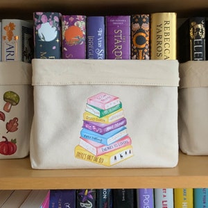 Pastel Bookstack, Bookish Tropes Book Basket, TBR Basket, Book Lover Box, Autumn Reader Gift, Top Bookish Gifts, Storage Caddy