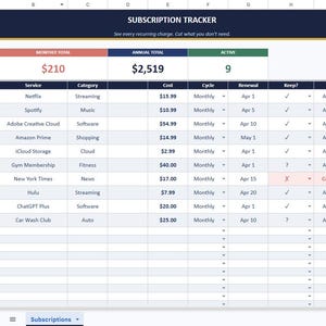 Subscription Tracker Spreadsheet: Monthly, Annual Totals (Digital Download)