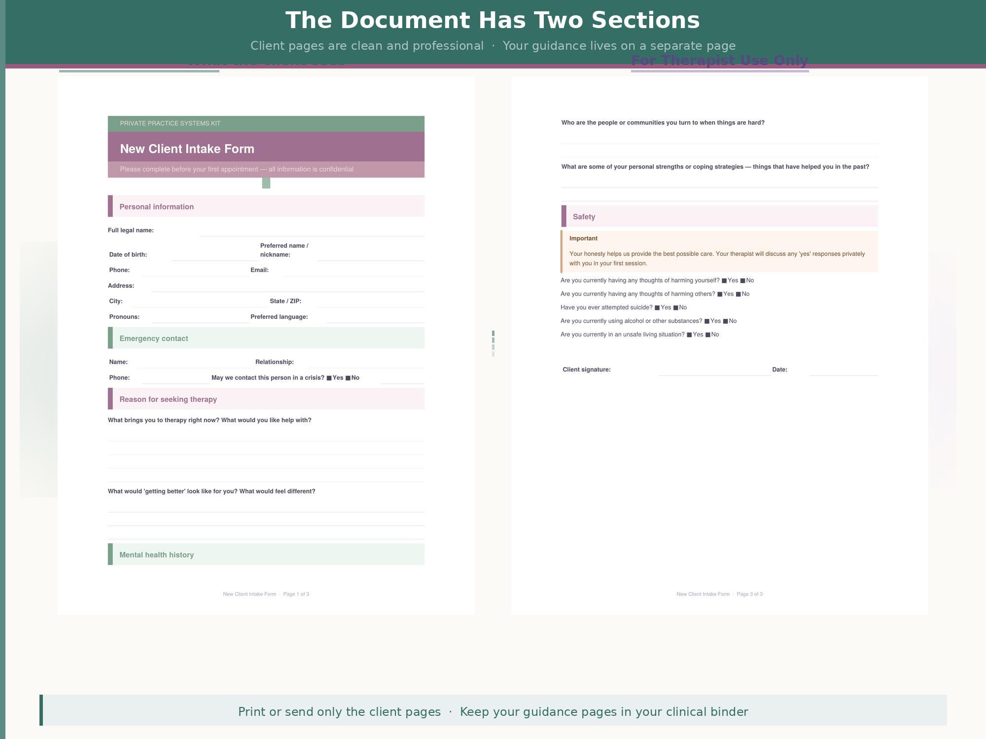Therapist New Client Intake Form | Comprehensive Therapy Intake ...