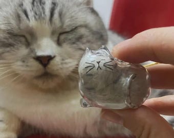 Pet Hair Keychain, Transparent cat hair storage capsule, Cat Memorial Gift For Loss, Cat Loss Remembrance, Keychain Accessory, Cat mom