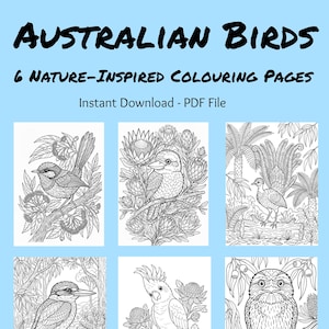 Peut inclure: Téléchargement numérique de six pages de coloriage inspirées de la nature, représentant des oiseaux australiens. Les illustrations en noir et blanc présentent divers oiseaux, dont un kookaburra et un cacatoès, sur des fonds botaniques détaillés. Le titre "Australian Birds" est mis en évidence.