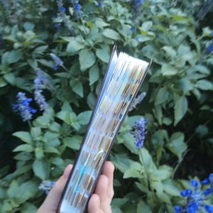 May include: A thick book with a dark brown cover and white pages featuring gold-foiled edges. The page edges are decorated with vertical gold lines and small light blue accents, creating a distinct pattern along the side of the closed book.