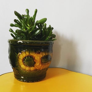 Op de afbeelding: Een groene keramische pot met een geel en bruin bloemenpatroon, gevuld met een vetplant.