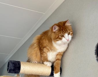 Adaptador de montaje en pared para rascador de gatos – Impreso en 3D, ajuste universal