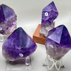 May include: Four amethyst crystal points with deep purple hues and translucent bases. Each crystal is labeled with a small white sticker numbered 1, 3, 4, or 6. The crystals are displayed on various stands, including clear acrylic, silver metal, and wood.