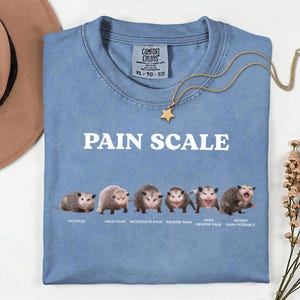 May include: A light blue Comfort Colors t-shirt with the text "PAIN SCALE" and a graphic of opossums illustrating levels of pain. A gold star pendant necklace and a brown hat are also visible.