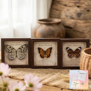 May include: Three framed butterfly displays with dark brown wooden frames. Each frame features a different butterfly specimen against a vintage-style background with the text "Listen attentively". A gift bag and card are in the lower right corner.