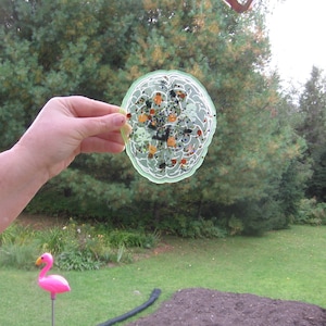 Handmade brain resin tray Halloween On The Brain