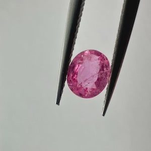 Puede incluir: Una gema ovalada de color rosa brillante es sostenida por unas pinzas sobre un fondo blanco. La gema presenta inclusiones internas y una superficie pulida, mostrando su belleza natural. La imagen destaca el color y la claridad de la gema.