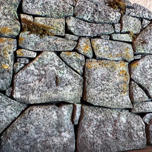Pu&ograve; includere: Un pannello murale testurizzato con un motivo realistico di muratura in pietra con rocce irregolari nei toni del grigio e del blu. La superficie presenta fessure dettagliate, texture di pietra usurata e accenti di muschio verde e giallo.