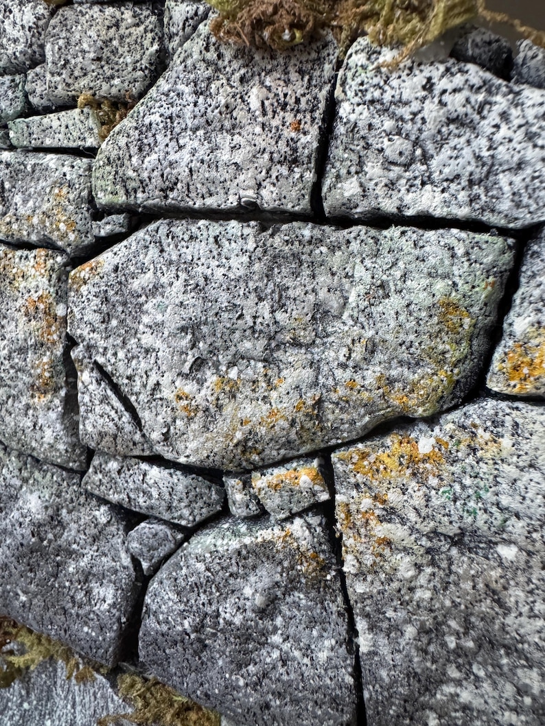 Pu&ograve; includere: Un muro a secco costruito con blocchi di granito irregolari e grezzi in tonalit&agrave; grigie, bianche e nere. Le superfici strutturate delle pietre presentano macchie di lichene arancione e giallo, con piccoli ciuffi di muschio verde nelle fessure.