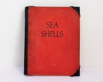 Shell Reference Book Etsy - 
