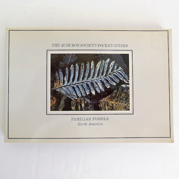 Familiar Fossils, The Audubon Society Pocket Guides, North America Fossil Book, Alfred A Knopf, Copyright 1988