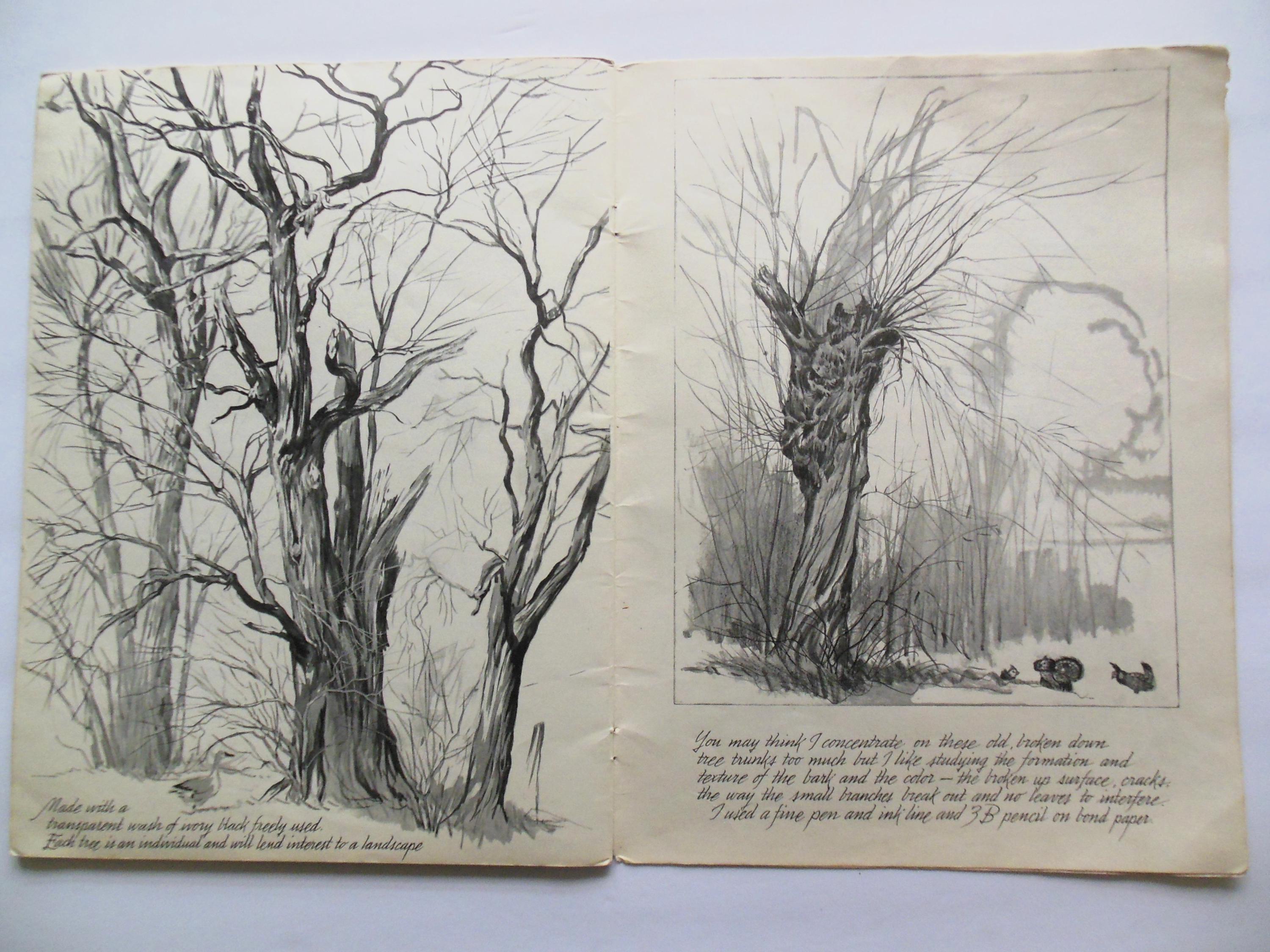 Published Drawing More Trees How to Draw Book 55 by Frederick Garner, Published by Walter ...