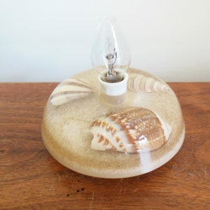 May include: A beige ceramic lamp base with three seashells embedded in the surface. The lamp has a clear glass light bulb and a white ceramic socket.