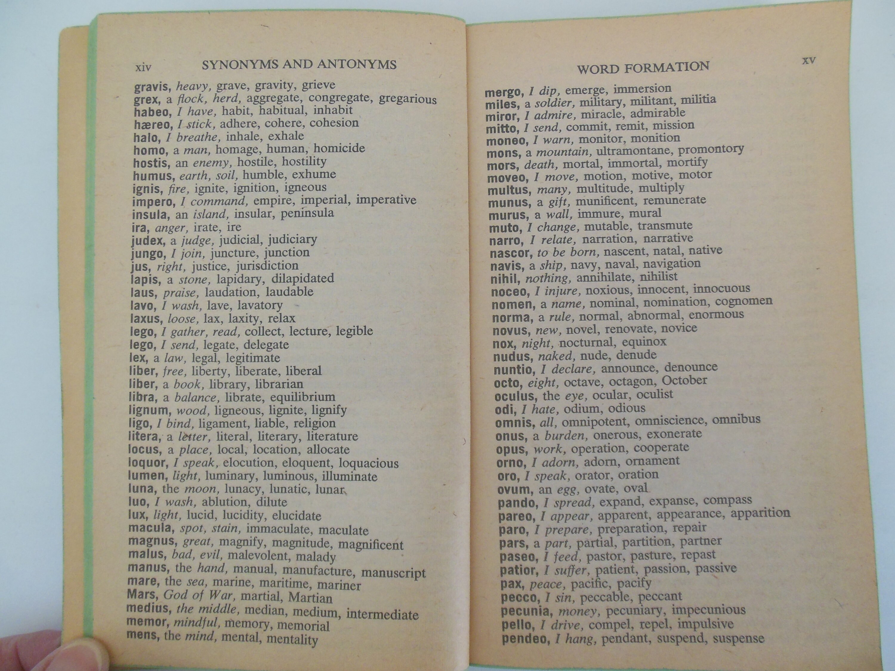 Dennison Synonym Antonym Homonym Dictionary for loose-leaf notebooks 1962