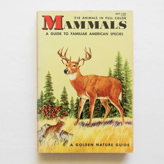 Mammals Guide to Familiar American Species 497 by Herbert Zim