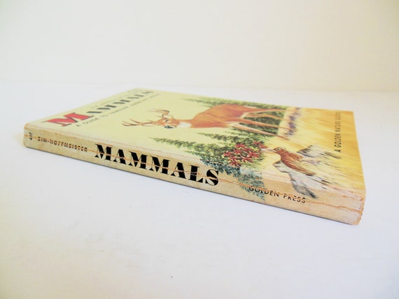 Mammals Guide to Familiar American Species 497 by Herbert Zim