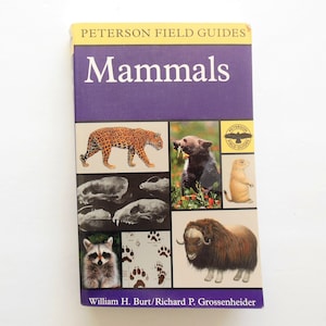 Field Guide to Mammals North American Peterson Series, By William Burt, National Audubon Society, Houghton Mifflin, Copyright 1980