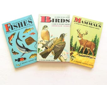 Golden Nature Book Fish Bird or Mammal Your Choice, Color Illustrated Field Guide by Herbert Zim, Golden Press Copyright 1955 or 1956