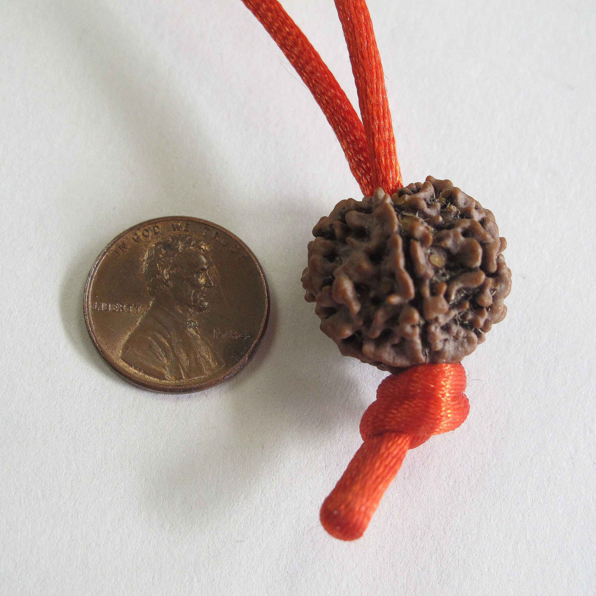 Single Rudraksha Bead - 5 Mukhi [5 Faces]. - Etsy