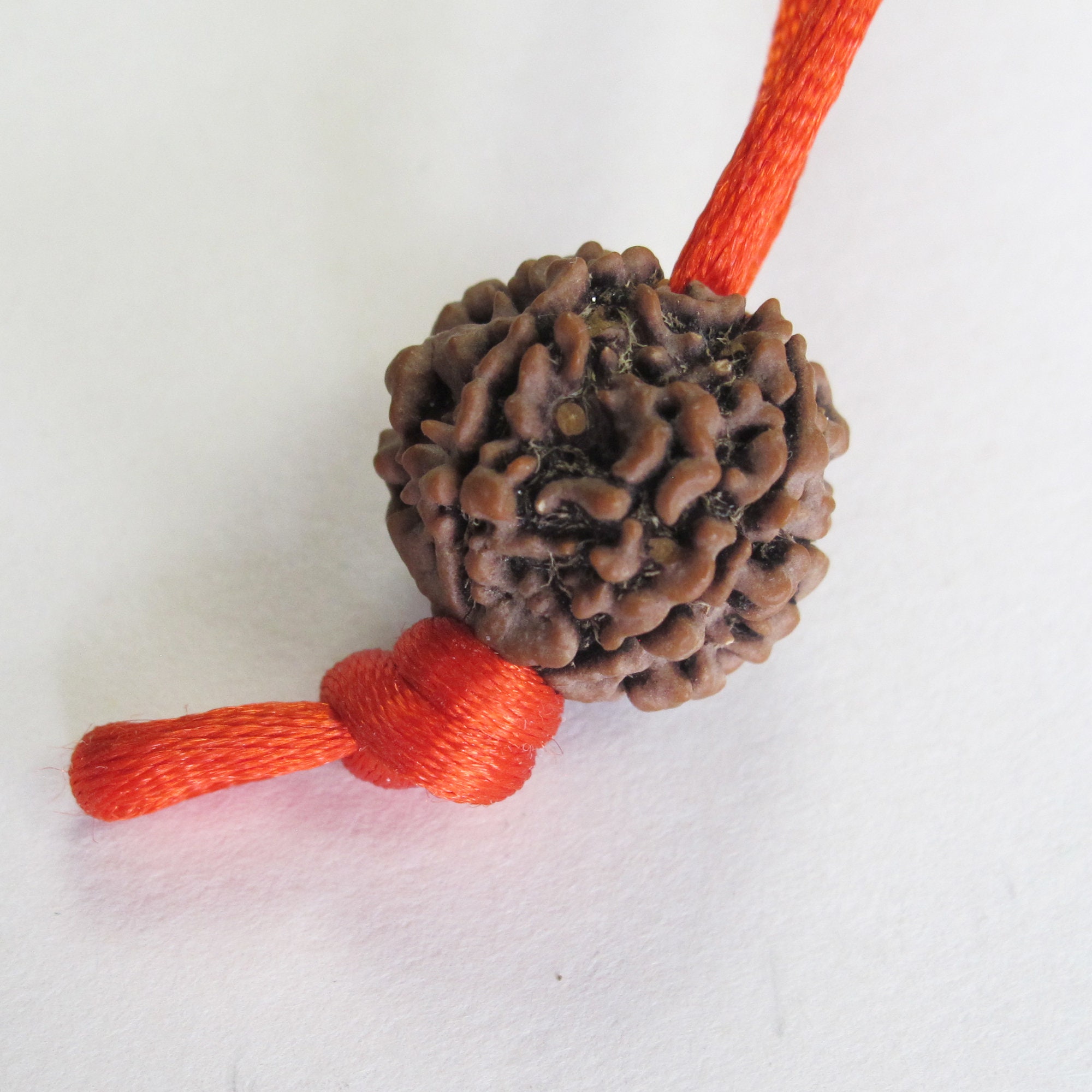 Single Rudraksha Bead - 5 Mukhi [5 Faces]. - Etsy
