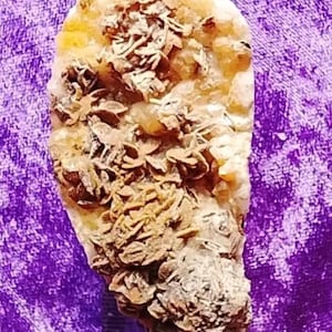 Puede incluir: Un espécimen de piedra natural rugosa con una formación en capas en forma de roseta en tonos beige y marrón. La piedra está sobre un fondo púrpura, con una regla visible para la escala. Mineral natural.