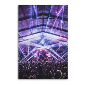Party Rave Electronic Music Festival Canvas Wall Decor Poster
