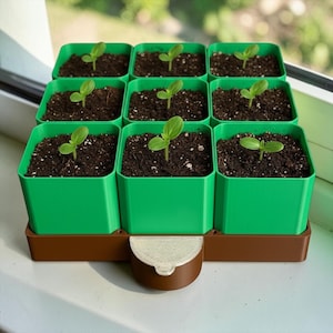 May include: Nine green square plant pots filled with soil and small seedlings, arranged in a 3x3 grid. The pots sit on a brown tray with a rounded, light-colored accent. The image is taken in natural light.