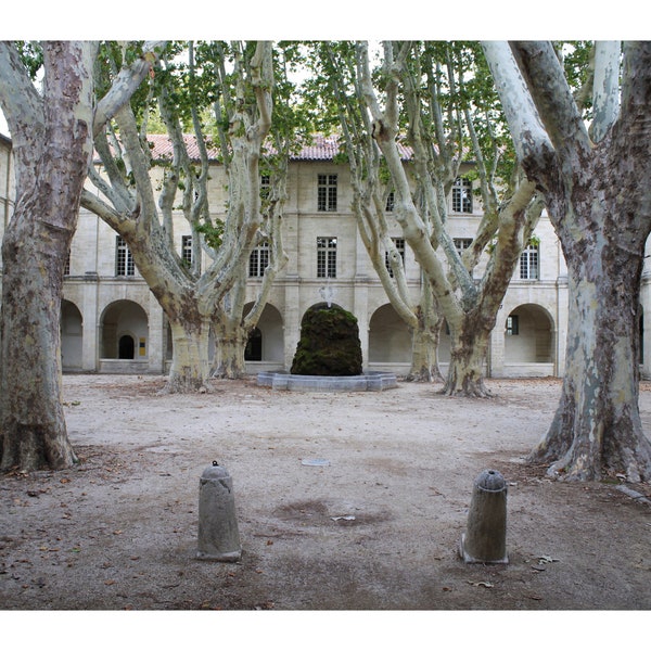 Avignon Courtyard Photo Print