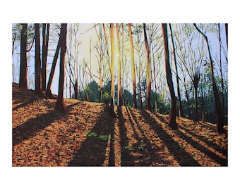 The Woods in Fall Photo Print