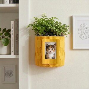 Könnte beinhalten: Ein gelber Wandtopf mit integriertem Bilderrahmen. Der Rahmen enthält ein Foto einer Katze. Der Topf ist mit grünen Pflanzen und schwarzen Steinen gefüllt. Ein weiß gerahmtes Bild und ein Bücherregal sind im Hintergrund.