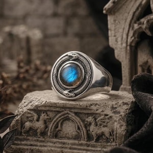 May include: A silver ring featuring a circular centrepiece with a polished, iridescent blue labradorite gemstone. The stone is encircled by a detailed relief carving of two snakes biting their own tails, forming a continuous loop design.