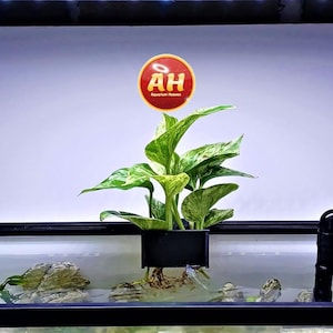 Adjustable Aquarium Plant Holder for Rimmed/Rimless Tanks | PLA+ Plastic Planter