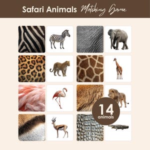 Könnte beinhalten: Ein Safari Animals Matching Game mit einem Raster aus 14 Tierbildern und den dazugehörigen Texturen. Das Set enthält ein Zebra, einen Elefanten, einen Leoparden, eine Giraffe, einen Flamingo, einen Löwen, eine Gazelle und ein Krokodil mit Mustern.