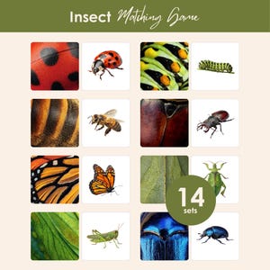 Puede incluir: Un juego de asociación Insect Matching Game con 14 conjuntos de tarjetas. Cada fila muestra una textura en primer plano de un insecto junto a su imagen completa, incluyendo mariquita, oruga, abeja, ciervo volante, mariposa monarca y saltamontes.