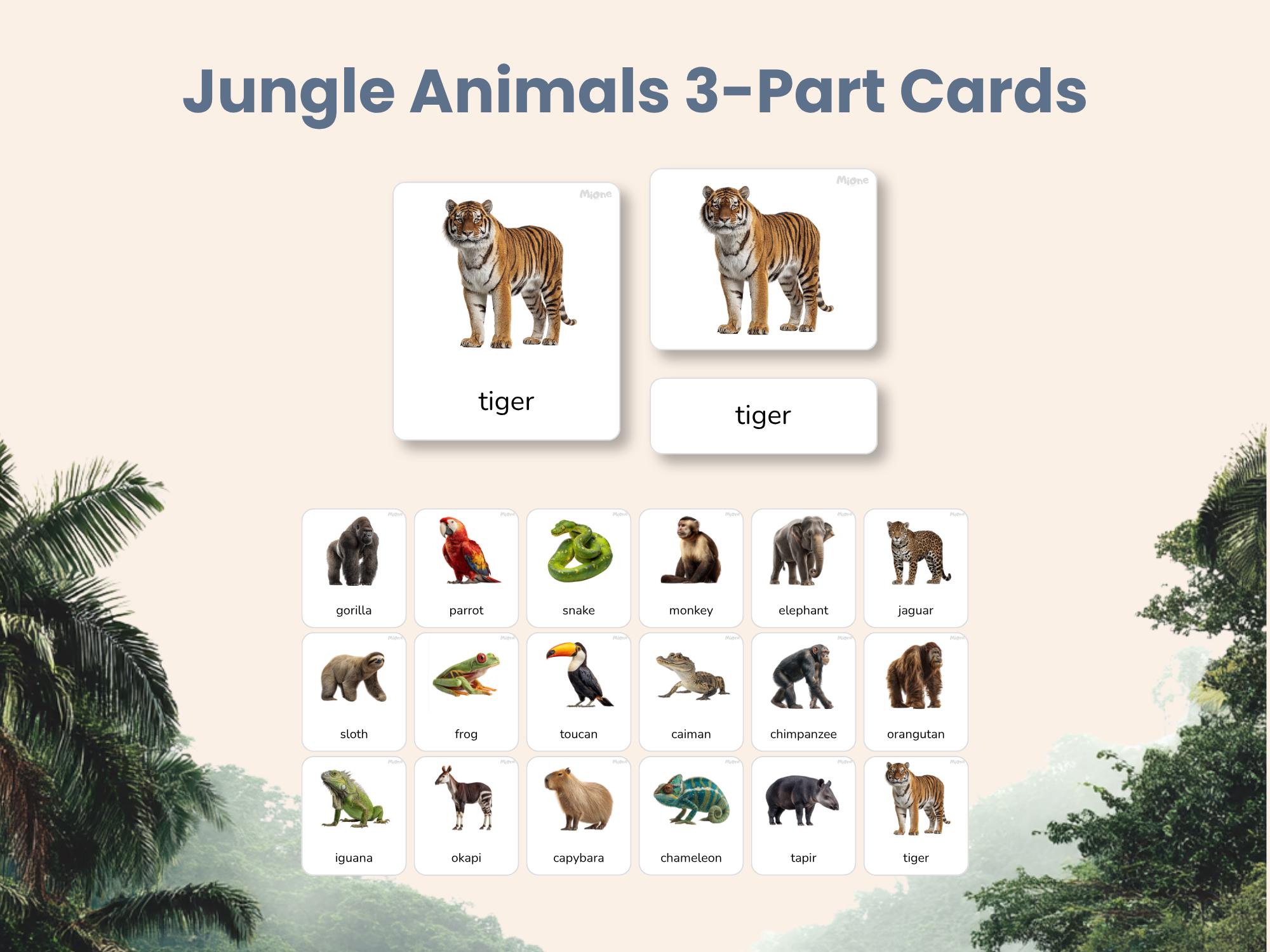 Jungle Animals 3-part Cards Printable, Montessori Nomenclature Cards ...