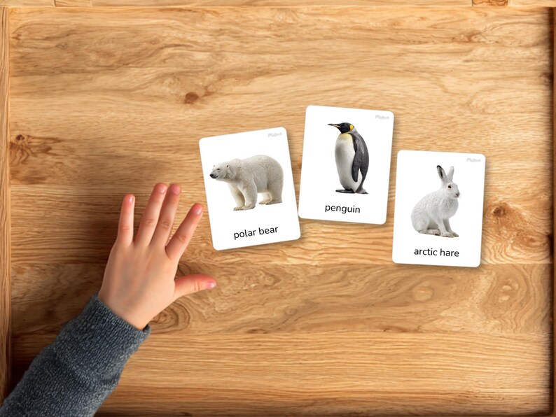 Polar Animals Flashcards Printable, Arctic Animals for Kids, Montessori ...
