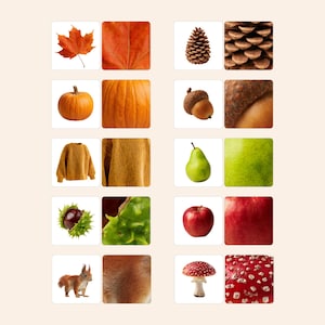 Fall Matching Activity | Autumn Picture Matching Printable | Preschool Visual Discrimination Game | Montessori Learning Activity | Preschool