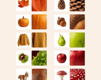 Actividad de emparejamiento de otoño / Imprimible de emparejamiento de imágenes de otoño / Juego de discriminación visual para preescolar / Actividad de aprendizaje Montessori / Preescolar
