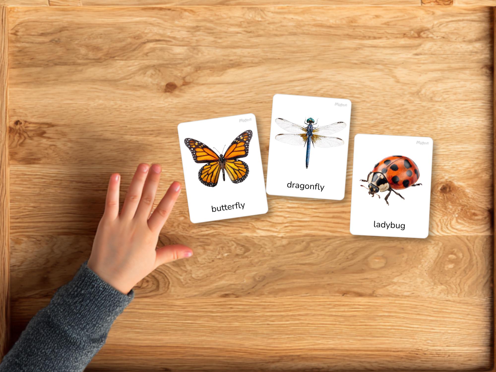 Insect Flashcards Printable, Bugs Learning Cards for Kids, Montessori ...
