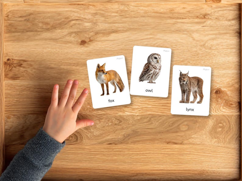 Forest Animals Flashcards Printable, Woodland Animal Cards, Montessori ...