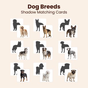 Puede incluir: Tarjetas de emparejamiento de sombras de razas de perros con nueve pares. Cada par incluye una silueta negra y una fotografía en color correspondiente de una raza de perro específica, incluyendo un Golden Retriever y un Bulldog francés.