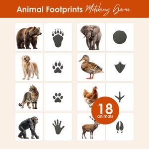 Animal Footprints Matching Cards | 18 Realistic Animal Tracks | Montessori Preschool Activity | Nature Learning Printable | Kids Animal Game