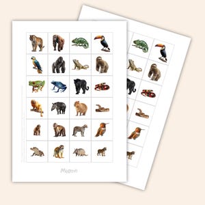 以下が含まれることがあります： カラフルな動物のイラストがグリッド状に配置された2枚の白い紙。トラ、ゴリラ、カメレオン、オオハシ、オウム、カエル、ヘビなどが含まれています。「Mione」という文字が下部に印刷されています。