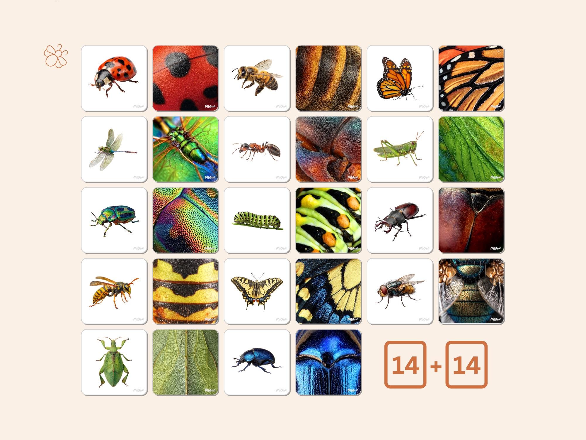 Pattern Cards Free Printable Insects Insect Matching Cards | Bugs Printable | Montessori Preschool Activity ...